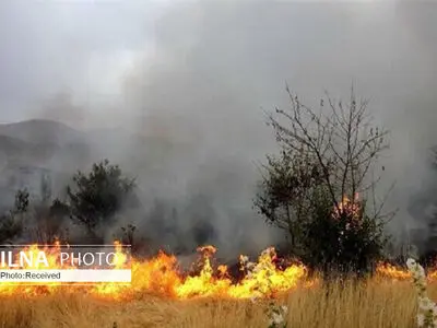 آتش سوزی همزمان در ۹ نقطه مختلف شهرستان های چگنی و کوهدشت