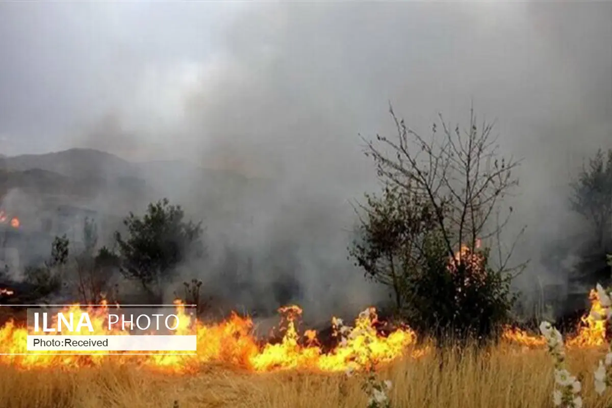 مهار آتش سوزی منطقه “چم چیت” دورود