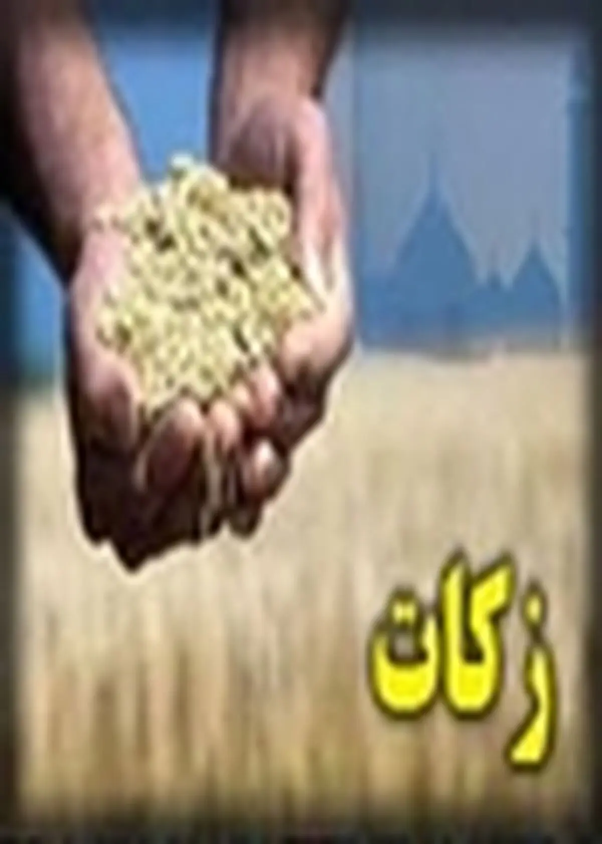در۹ ماهه امسال، ۶میلیارد ریال زکات در گلپایگان جمع آوری شد