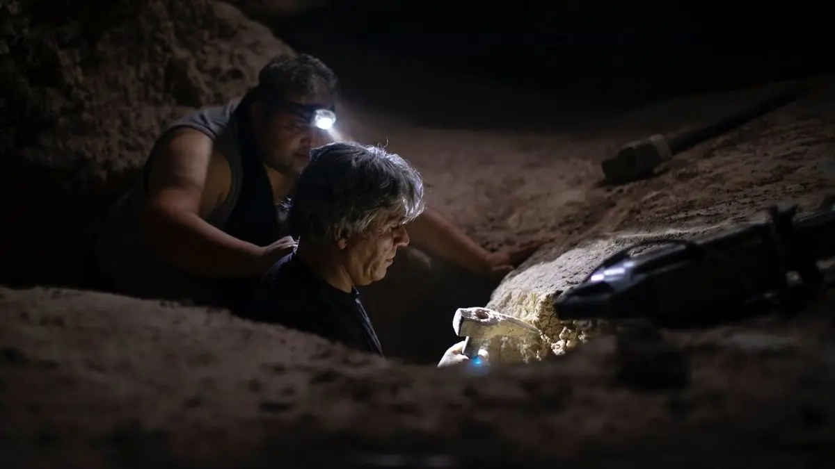 «رویاباف و قاضی» اکران آنلاین میشود