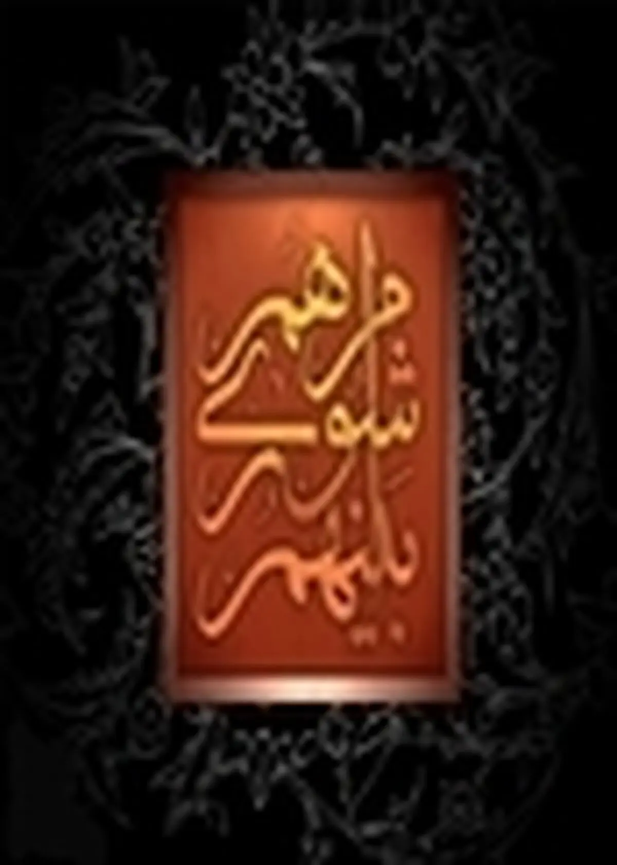 سایت کارگاهی مشاغل زنجان ساماندهی می‌شود