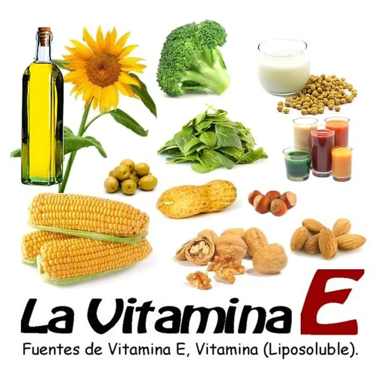 ویتامین E برای سلامت مو مفید است؟