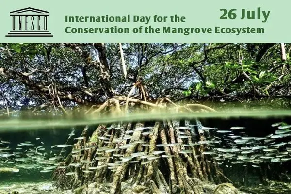 ۲۶ ژوئیه از یونسکو روز جهانی حفاظت از اکوسیستم‌‌های مانگرو نام گرفته که در معرض نابودی هستند