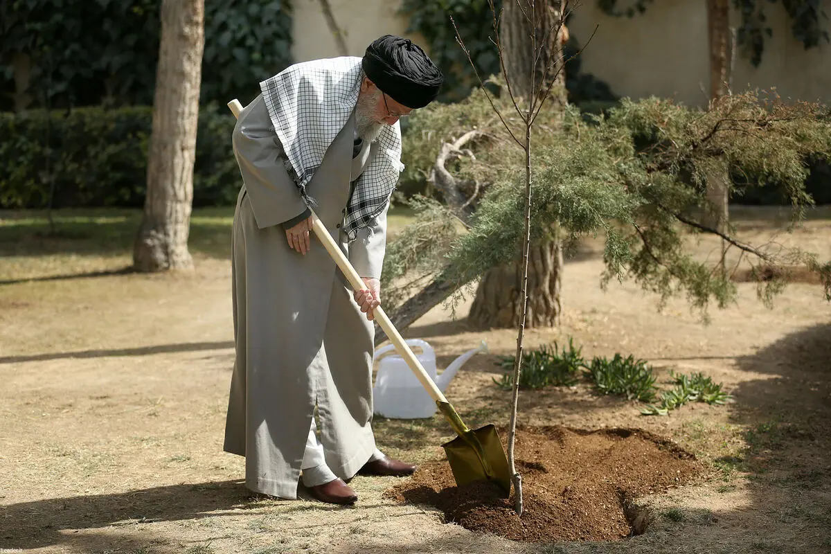 Leader calls for combating deforestation on Natl. Arbor Day