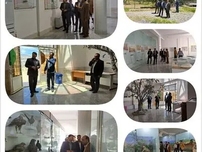 با ایجاد موزه‌های تاریخ طبیعی آموزش از روش سنتی به عینی ارتقا پیدا می‌کند