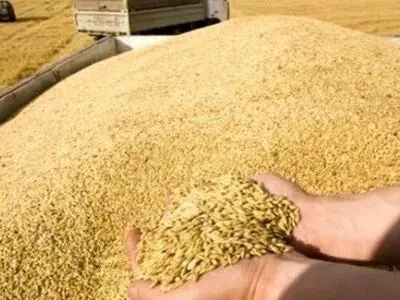جریمه ۱۱ میلیارد تومانی قاچاقچی گندم در لرستان 