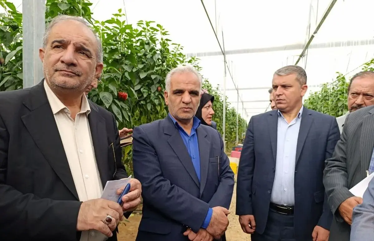 در برنامه پنج ساله هفتم توسعه، حوزه کشاورزی مورد توجه قرار گرفته است
