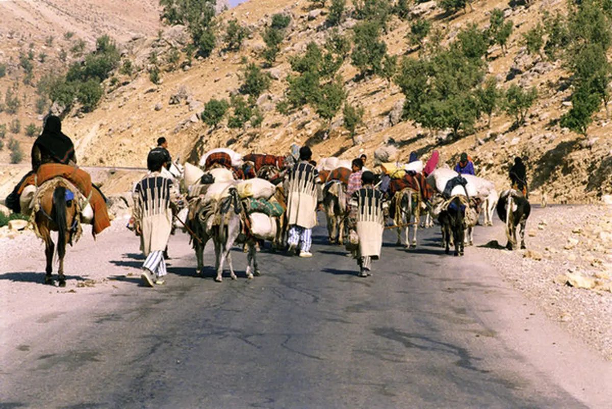 کوچ بهاره بیش از  ۱۱ هزار خانوار عشایری لرستان آغاز شد 