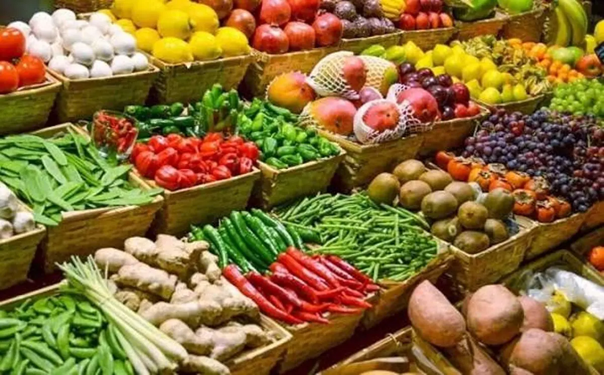 تغذیه متعادل گیاه؛ کلید افزایش تولید و کیفیت محصولات کشاورزی