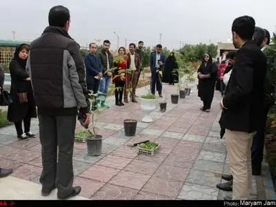 کاشت نهال بر مزار شهدای مسیحیان کلدانی و آشوری اهواز + تصاویر