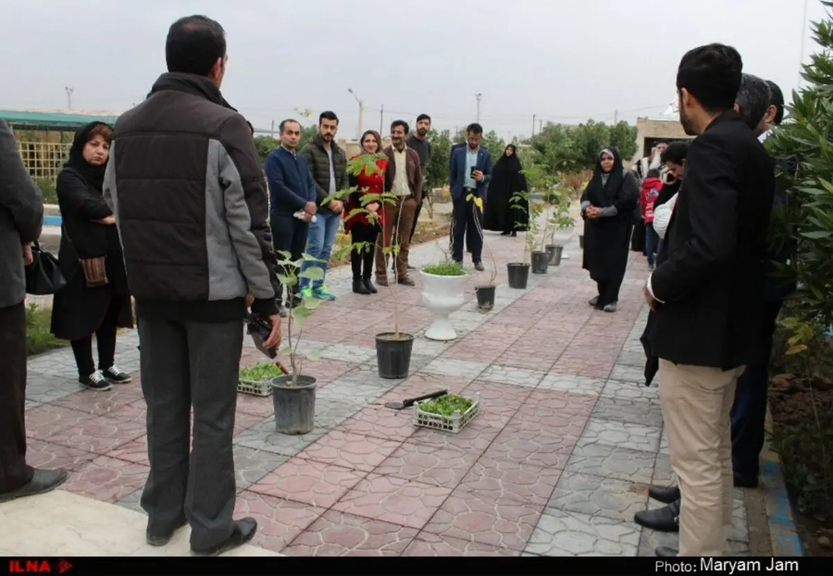 کاشت نهال بر مزار شهدای مسیحیان کلدانی و آشوری اهواز + تصاویر