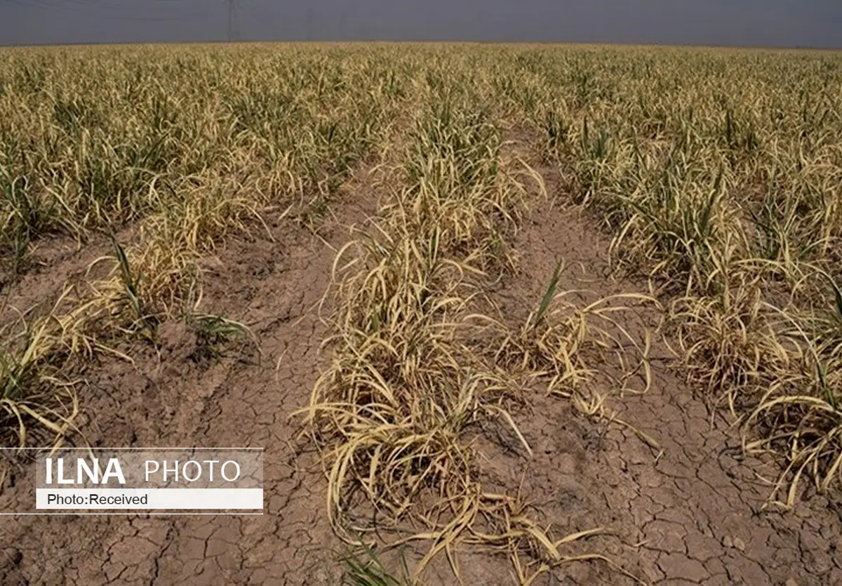 زنگ خطر خشکسالی در کشور به صدا درآمده است