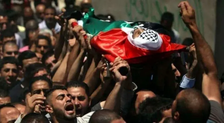Two Palestinians shot dead by Israeli forces in Jenin