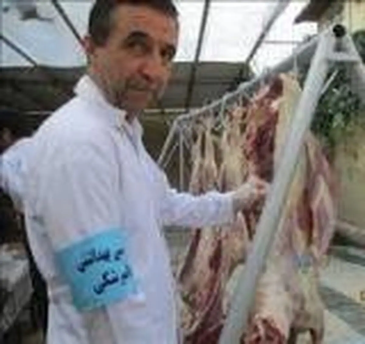 ۴۰ درصد کارکنان دامپزشکی خراسان رضوی درایام نوروز فعالند
