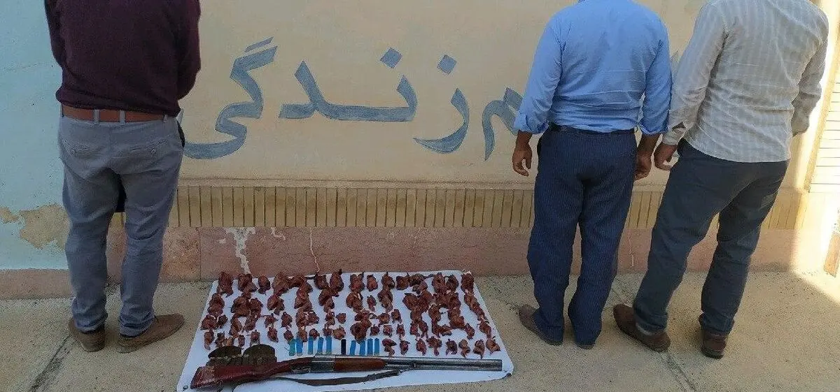 دستگیری ۳ نفر متخلف شکار و صید و کشف لاشه ۷۴ قطعه کبک وحشی در بردسکن