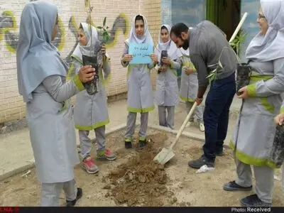 نهالکاری به مناسبت روز دانش آموز در بندر امام خمینی + تصاویر