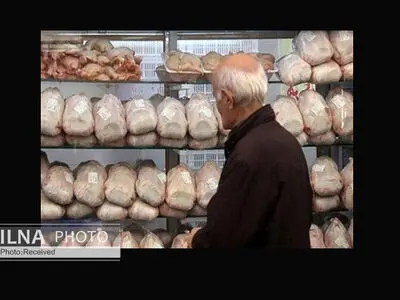 توانِ کارگران محدود است/ یک کیلو مرغ چند؟