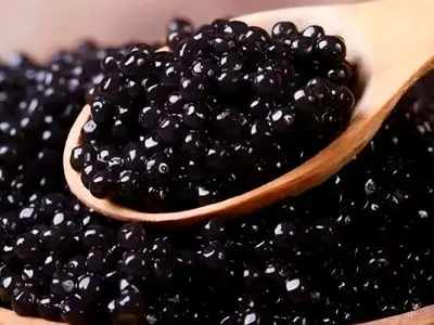 کشف ۸ کیلوگرم خاویار قاچاق در فریدونکنار