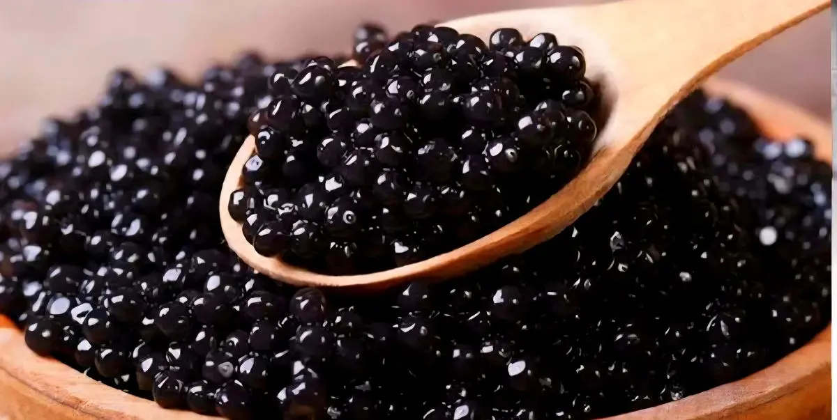 کشف ۸ کیلوگرم خاویار قاچاق در فریدونکنار