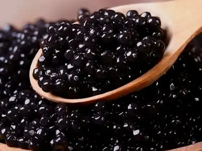 کشف ۸ کیلوگرم خاویار قاچاق در فریدونکنار