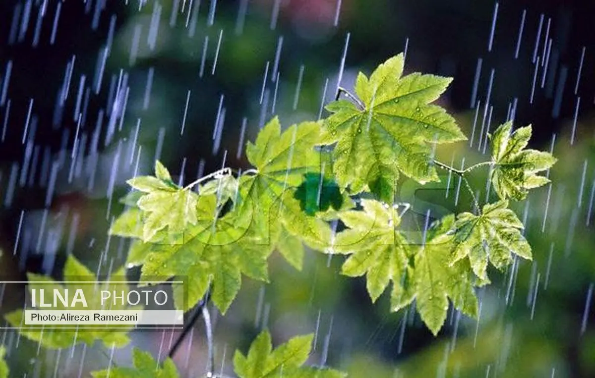 افزایش 61 درصدی بارندگیها در لرستان