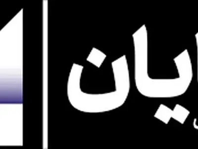 راز موفقیت گروه سرمایه گذاری «دانایان» چیست؟