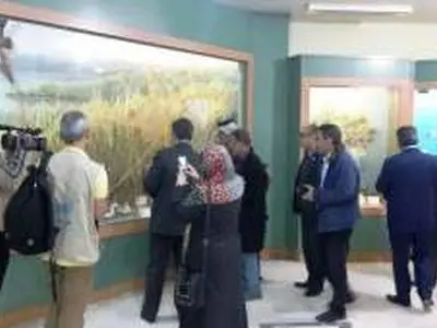 تقویت بلند مدت تالاب های بین النهرین با استفاده از تجارب بین المللی
