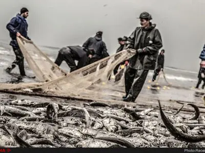 آزادی ۱۵ ماهیگیر ایرانی زندانی در هند