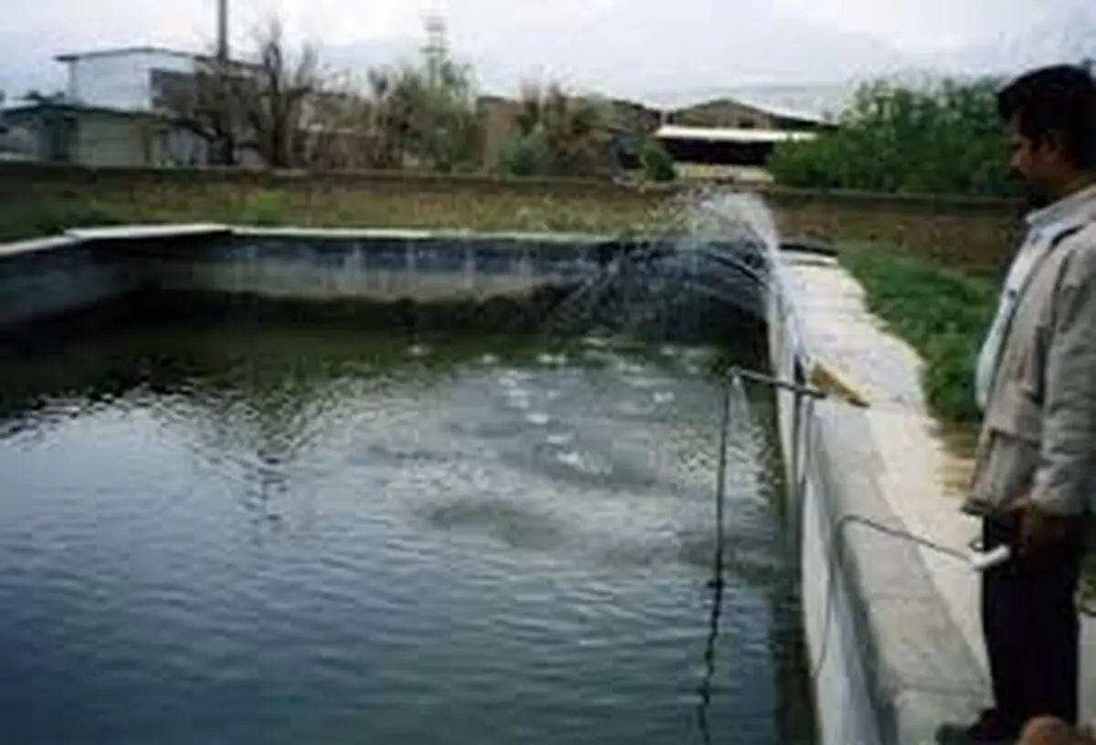 ۸۵ درصد پیشرفت فیزیکی سایت پرورش ماهیان سردابی خزل غربی کنگاور