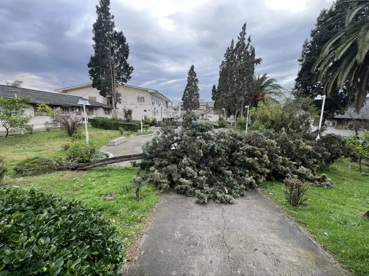 طوفان با سرعت ۱۰۸ کیلومتر بر ساعت گلستان را در نوردید