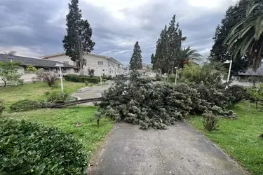 طوفان با سرعت ۱۰۸ کیلومتر بر ساعت گلستان را در نوردید