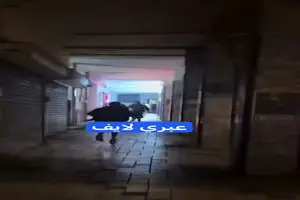 فرار صهیونیست‌ها به نزدیک‌ترین لونه موش! + فیلم