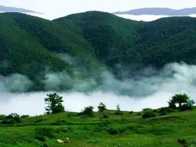 تله‌کابین جایگزین ورود خودروها به جنگل جهانی ابر شود