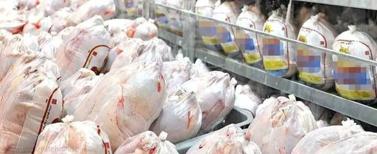 قیمت گوشت مرغ در آذربایجان‌غربی نزولی شد/روزانه ۳۰۰تن گوشت گرم مرغ در استان تولید می‌شود
