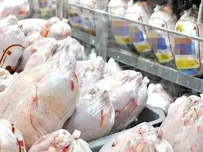 قیمت گوشت مرغ در آذربایجان‌غربی نزولی شد/روزانه ۳۰۰تن گوشت گرم مرغ در استان تولید می‌شود