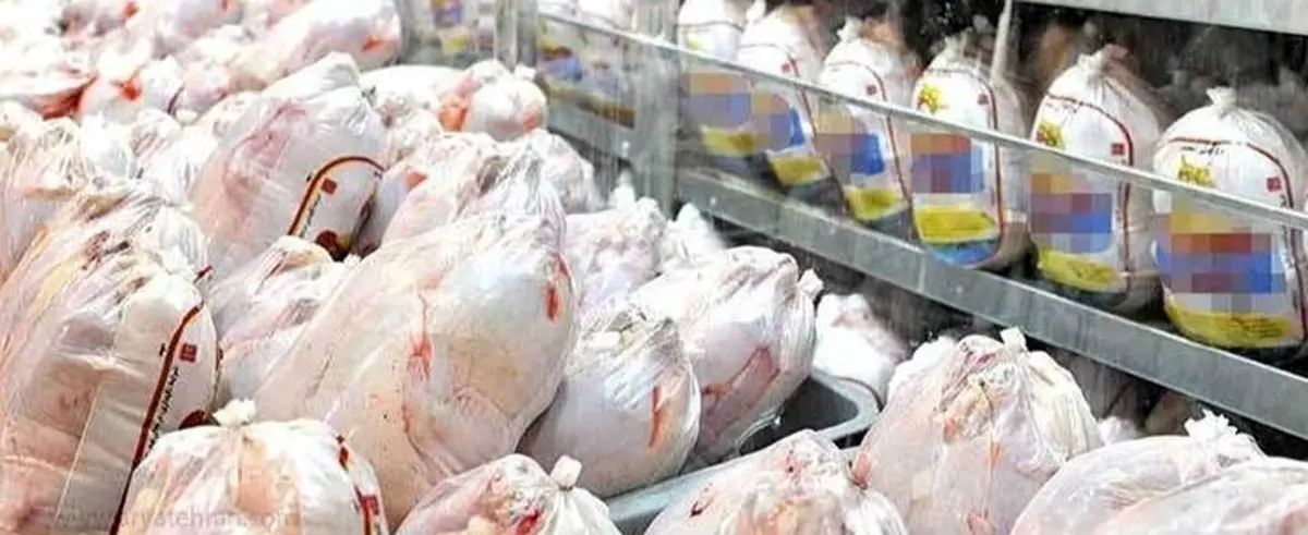 قیمت گوشت مرغ در آذربایجان‌غربی نزولی شد/روزانه ۳۰۰تن گوشت گرم مرغ در استان تولید می‌شود