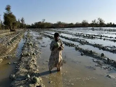 خسارت ۶۱۳ میلیارد تومانی در بخش کشاورزی سیستان و بلوچستان