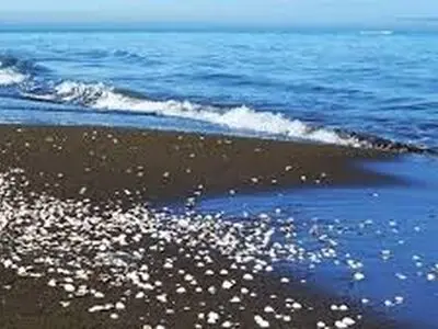 جلوگیری از آلودگی دریای خزر موضوع گفت و گوی گروه کاری ایران و روسیه