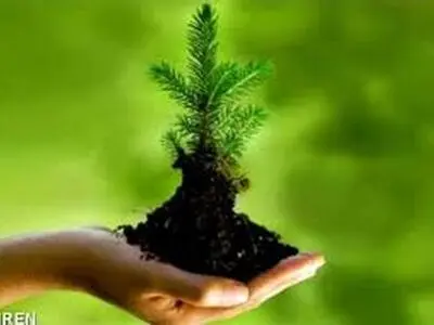 کتاب به یاری محیط‌بانان می‌شتابد/ کمک به محیط‌بانان دربند با خرید کتاب