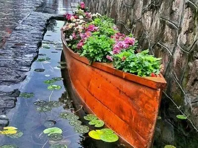 نمایی زیبا از شهر رشت/عکس