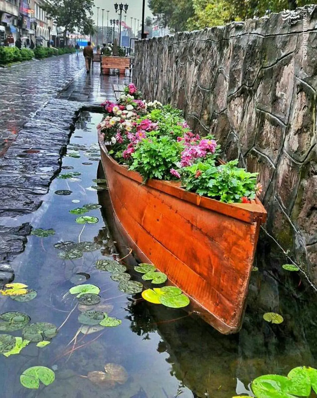 نمایی زیبا از شهر رشت/عکس