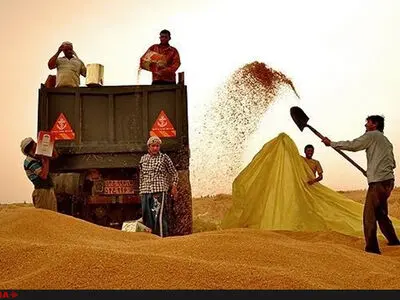 ادعای وجود مازاد گندم برای صادرات باید به صورت دقیق بررسی شود/ نباید شتاب‌زده گندم صادر کنیم