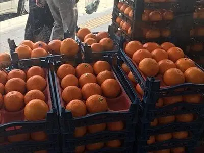 تغییر نام پرتقال داخلی به پرتقال مصری برای گران‌فروشی+عکس 