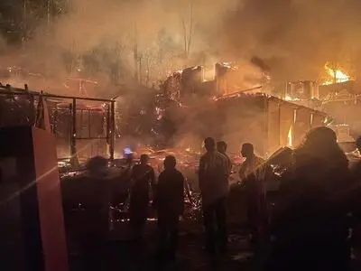 تلف شدن 10ها رأس دام در  حادثه آتش‌سوزی شهرستان پارس‌آباد مغان