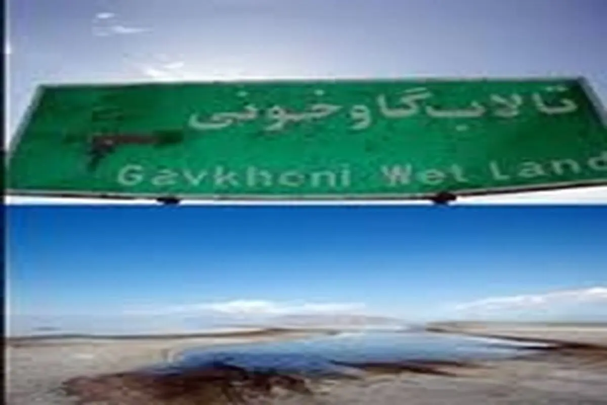 تالاب با تعطیلی کشاورزی احیا نمی‌شود