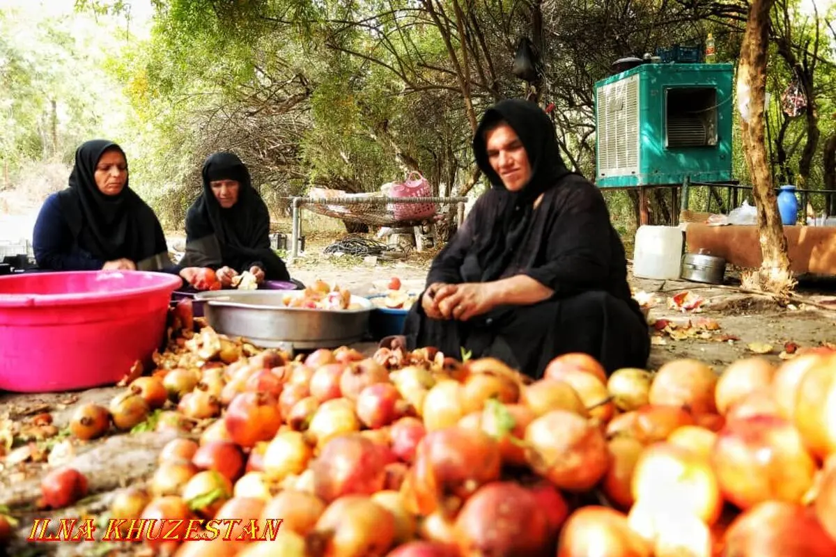 سود فرآوری انار ارگانیک مازندران در جیب استان‌های دیگر‌/ ایجاد صنایع تبدیلی گامی برای کوتاه شدن دست واسطه‌ها
