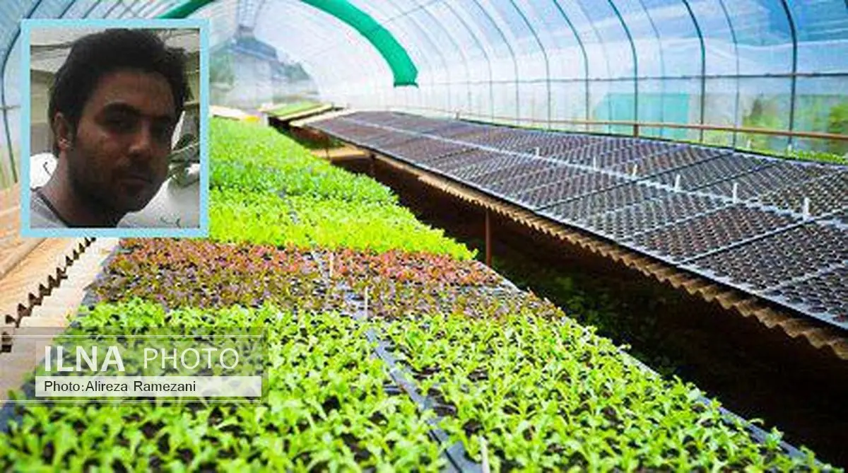 داود کریمی در سپاه ناحیه یزد یک گلخانه به روش آبکشت تأسیس کرد/ آقای هیدروپونیک و صید آفات با تله‌های نوری