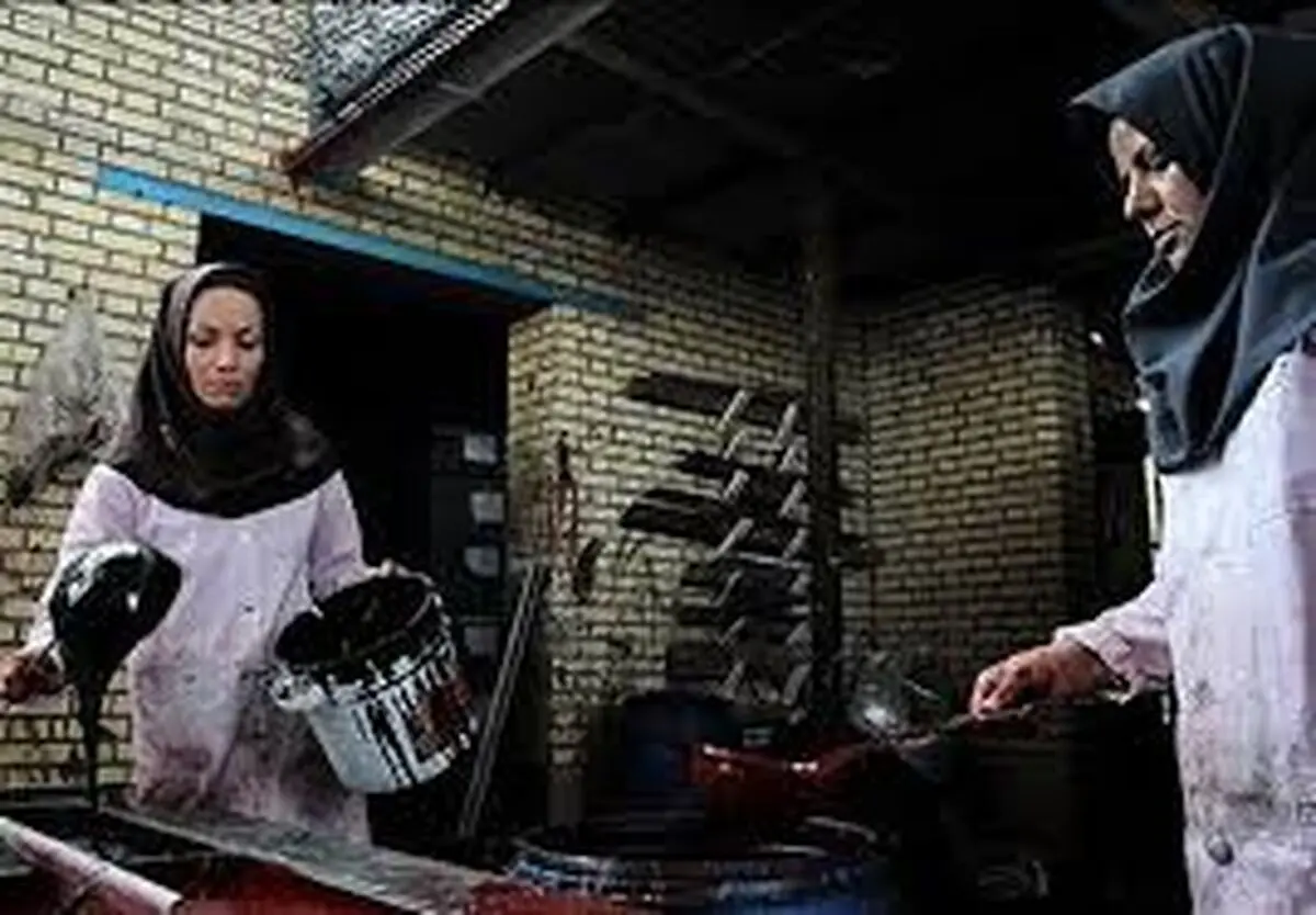 زنان ۵۰ و  ۶۰ ساله برای کسب شغل به ما مراجعه می‌کنند/ زنان دستفروش نه آینده دارند و نه بیمه/ باید از این دیوار کشیدن‌ها دور کشورمان رها شویم