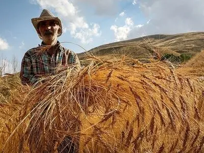 حرکتِ جمعیت برای تصاحب دستمزد بیشتر/ هزینه‌های ۱۱ میلیونی محرکِ مهاجرت از روستاهاست 