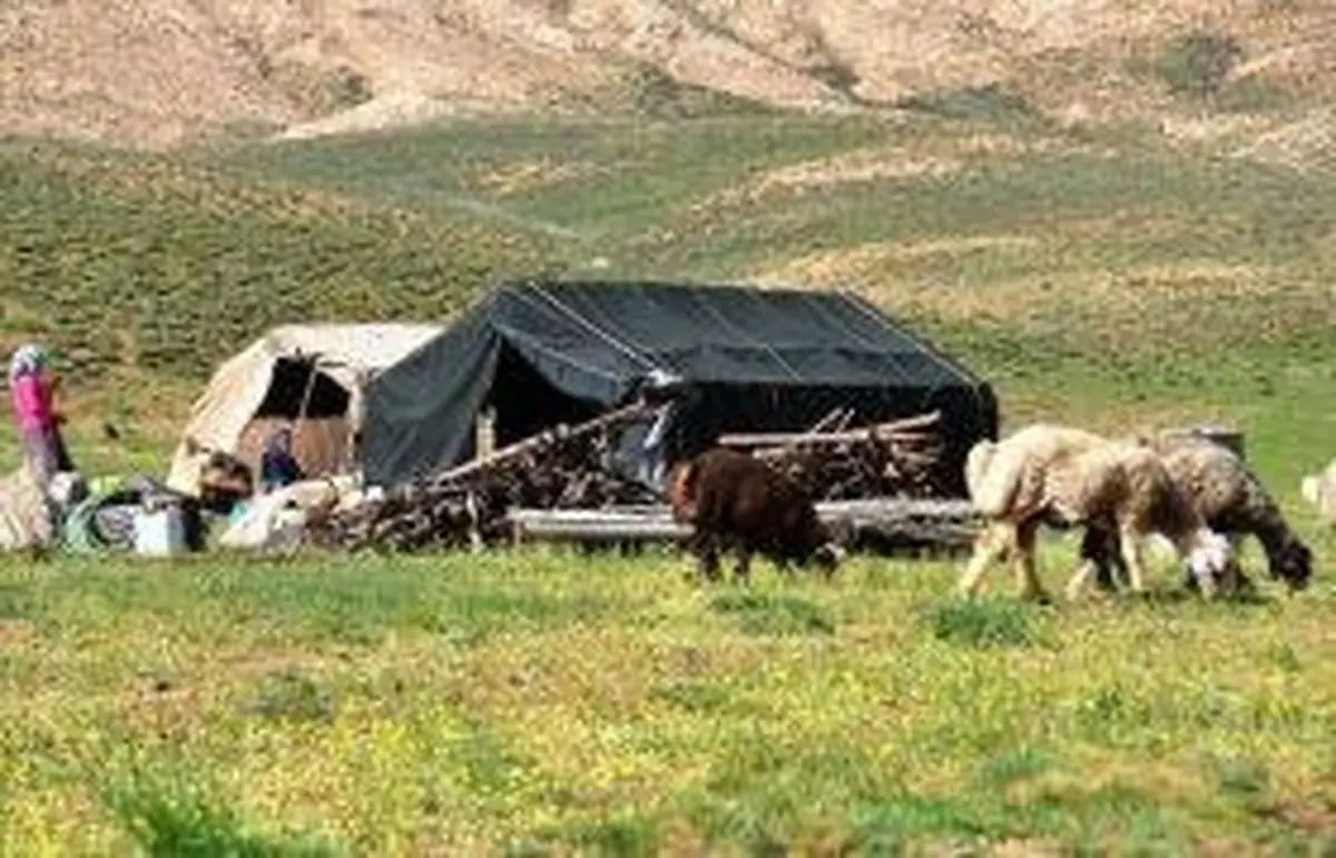 وجود هشت شرکت تعاونی در لرستان